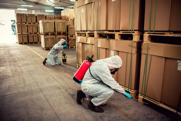 Reliable Tolar, TX Pest Control Solutions