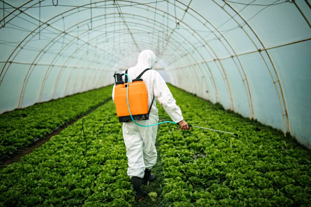 Best Pest Control Near Me in Tolar, TX