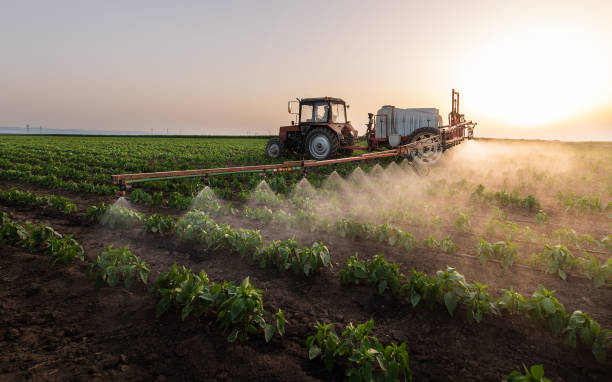 Best Spider Control Near Me  in Tolar, TX