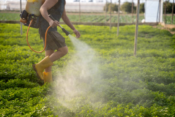 Best Residential Pest Control  in Tolar, TX
