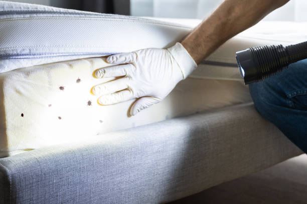 Best Pest Removal Services  in Tolar, TX