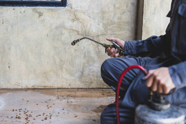 Best Pest Prevention Services  in Tolar, TX