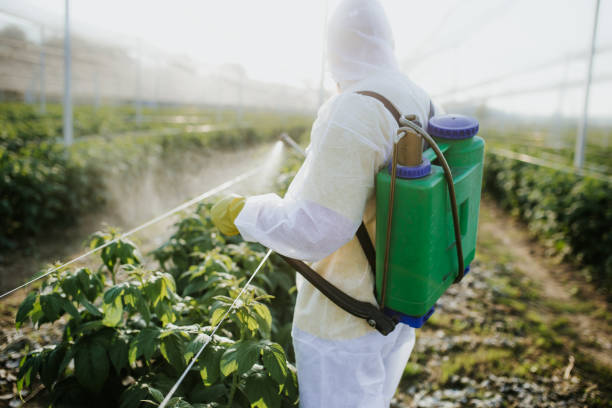 Best Affordable Pest Control Services  in Tolar, TX